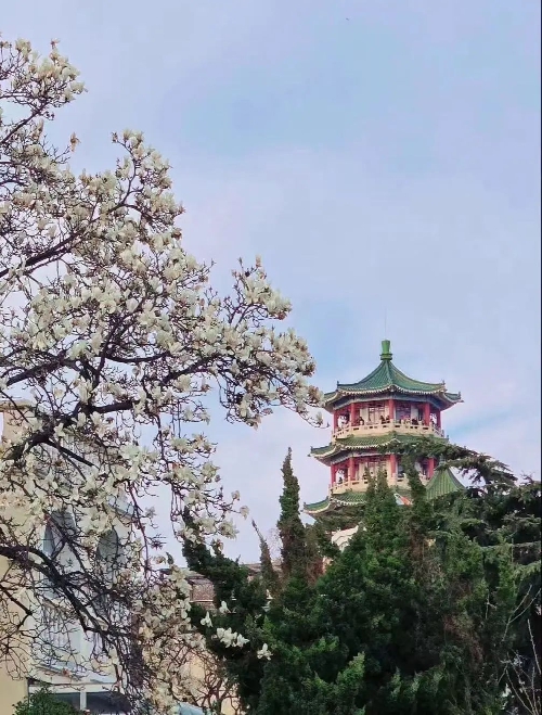 家校同行觅春踪 四维育人润心田